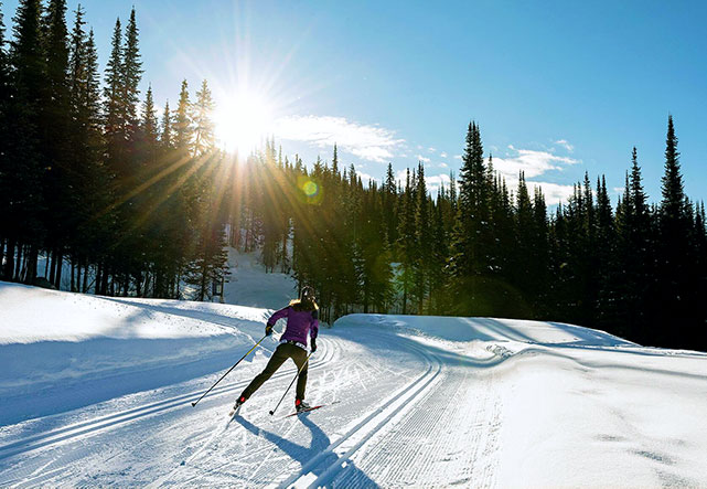 Журнал "Марафонец" о пользе беговых лыж этой зимой